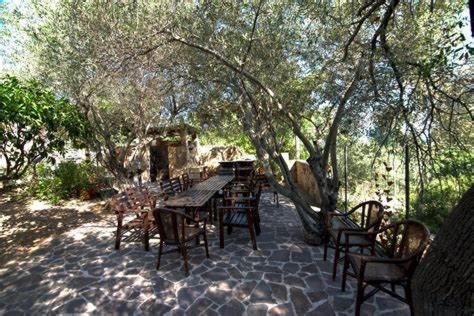 Villa Arancio Giorgio Cala Liberotto Exterior photo