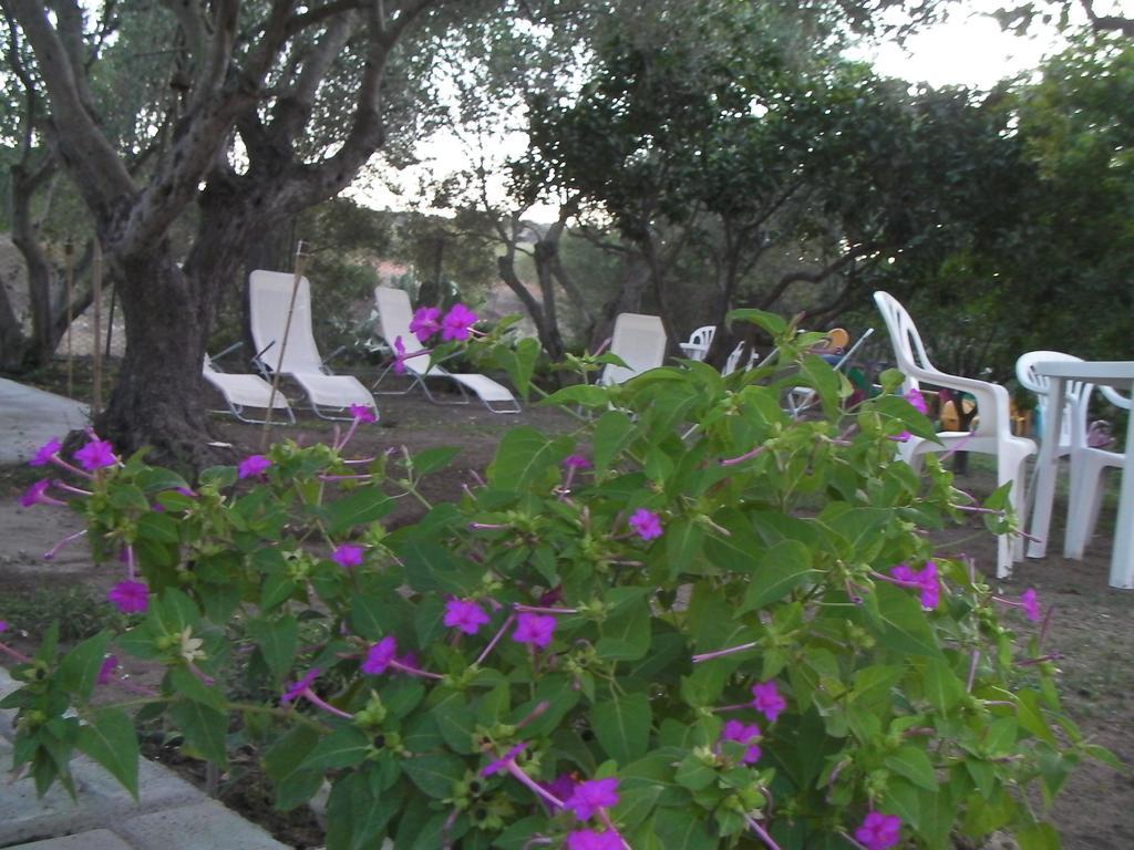 Villa Arancio Giorgio Cala Liberotto Exterior photo
