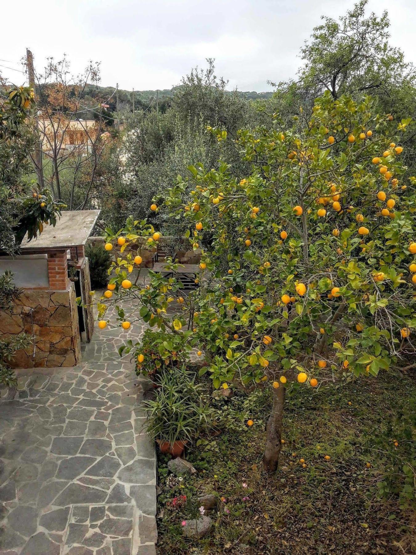 Villa Arancio Giorgio Cala Liberotto Exterior photo
